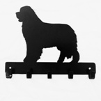 newfoundland-1 hook image